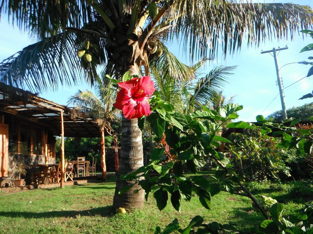 Villa Mamma Nui Glamping Hanga Roa Exterior foto